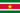 Die Fahne von Suriname